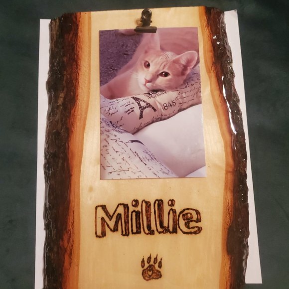 Custom Made Wood Burned Picture Frame, 8 x 11 w/clip, Handmade Pet Frame - Picture 5 of 6